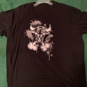 Air Jordan Retro 5 “metallic” Bull T-shirt